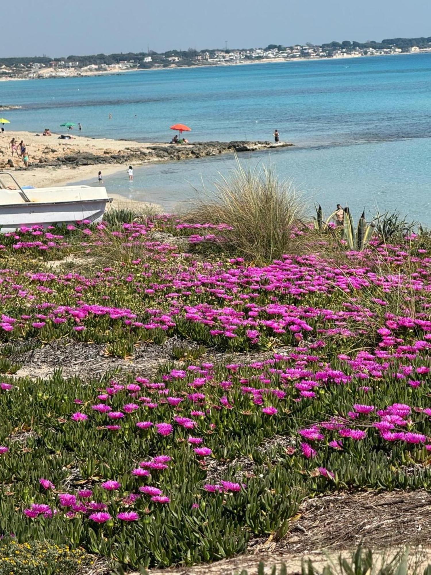 Villa Torretta - Mare Salento Marina di Lizzano Exterior photo